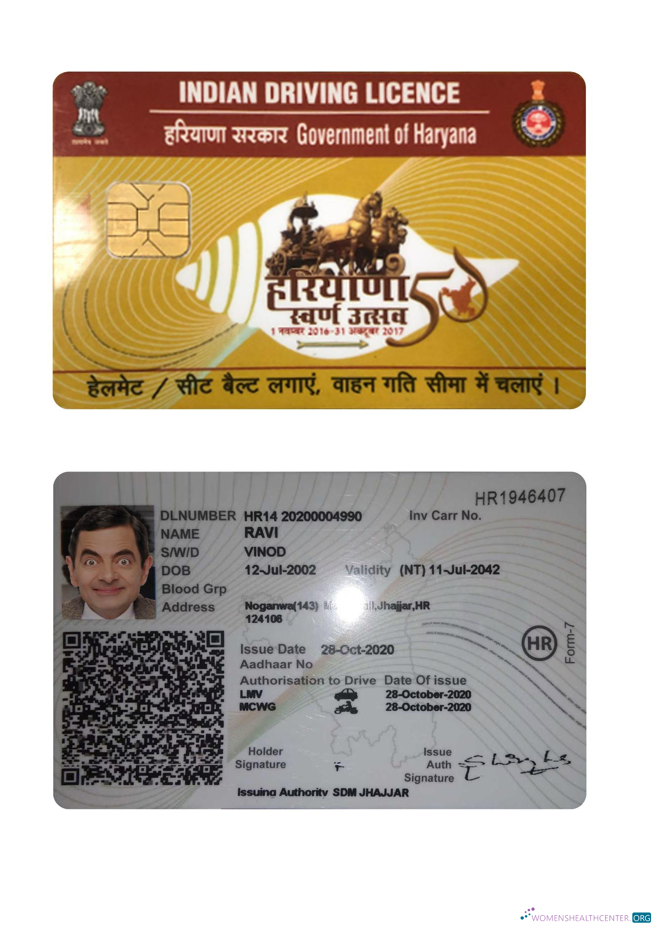 download India Haryana state driving license